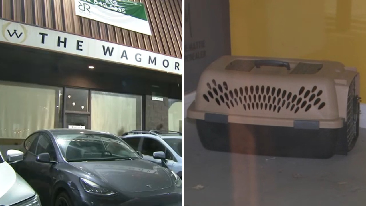Lawsuit accuses Los Angeles animal rescue of running puppy laundering operation

       — WABC-TV Eyewitness News (ABC7 NY)